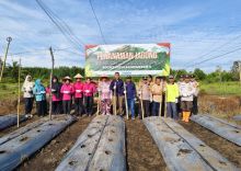 Polsek Tebingtinggi Barat Tanam Jagung di Desa Mantiasa, Dukung Ketahanan Pangan Nasional