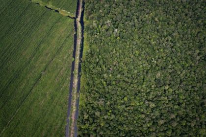 Dari Hutan Jadi Harapan: Upaya RAPP dan Rumah Madu Andalan Angkat Potensi Madu Sialang