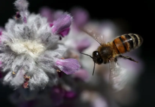 Gambar representatif /AFP