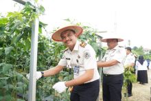 Panen Raya Nasional di Rutan Pekanbaru, Wujud Pembinaan Warga Binaan dan Dukungan Ketahanan Pangan