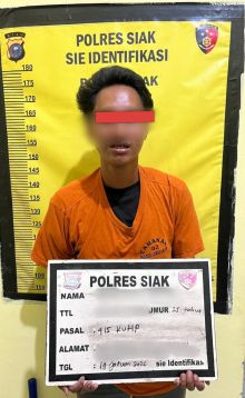 Iming-Iming Es Krim, Pria di Siak Cabuli Anak 7 Tahun