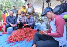 Wabup Apresiasi Petani Desa Wonosari Kembangkan Cabai Merah
