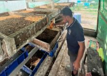 Lapas Bengkalis Mandiri Soal Pakan Ternak Budidaya Magot