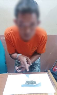 Berawal dari Informasi Warga, Polisi Tangkap Pemilik Ganja di Minas