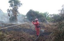 Puluhan Hektar Lahan Dipulau Rupat Kab Bengkalis Masih Terbakar