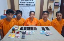 Hasil Pengembangan, Komplotan Pengedar Narkoba dan Satu Wanita Diringkus Polres Bengkalis