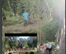 Jembatan Garuda Sungai Seminai Mulai Dibangun, Harapan Baru Warga Terwujud