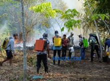 Puluhan Hektar Kebun Pertanian Warga Desa Teluk Lancar Bantan Terbakar, Warga Minta Bantuan Alat Berat