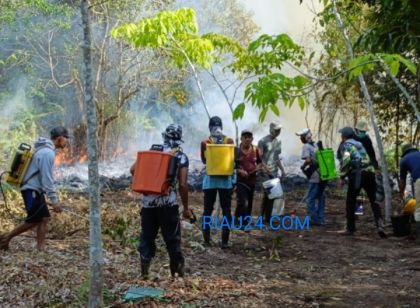 Puluhan Hektar Kebun Pertanian Warga Desa Teluk Lancar Bantan Terbakar, Warga Minta Bantuan Alat Berat