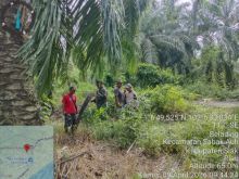 Babinsa Koramil 06/PWK Sabak Auh Laksanakan Patroli Karhutla di Kampung Belading