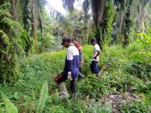 Sinergi Babinsa dan MPA, Karhutla di Kerinci Kiri Tidak Ditemukan