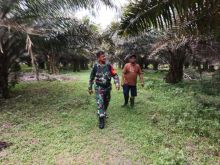 Babinsa Koramil 01/Siak Patroli Karhutla di Sawit Permai, Nihil Titik Api 