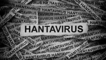 Terjebak Wabah Virus Hanta, Begini Nasib Ratusan Penumpang Kapal Pesiar MV Hondius   