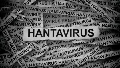 Terjebak Wabah Virus Hanta, Begini Nasib Ratusan Penumpang Kapal Pesiar MV Hondius   