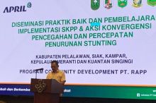 RAPP Perkuat Aksi Konvergensi, Dukung Percepatan Penurunan Stunting 5 Kabupaten di Riau
