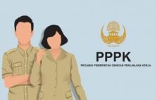 Ilustrasi Pegawai Pemerintah dengan Perjanjian Kerja (PPPK). Sumber: Pajak