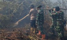 Polsek Rupat dan Stakeholder Lakukan Pemadaman Karhutla di Pulau Rupat