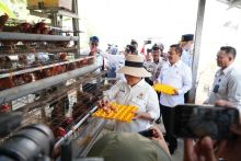 Manfaatkan 135 Hektar Lahan, Produktif, Lapas Nusakambangan Dapat Apresiasi dari Titiek Sueharto