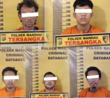 Lima Orang Diamankan Polsek Mandau Diduga Terlibat Narkoba