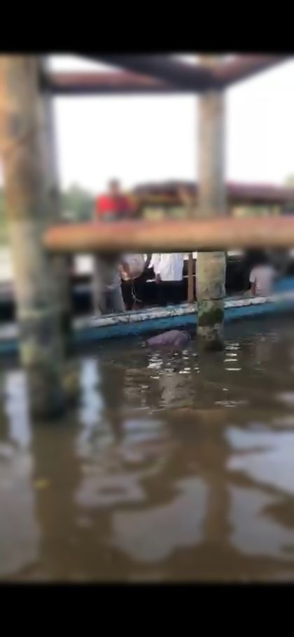 Berangkat Jual Nanas dengan Sampan, Pemuda 20 Tahun Ditemukan Tak Bernyawa