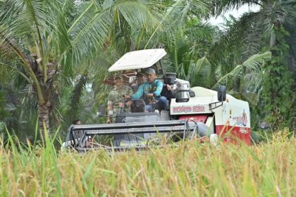 Dandim 0322/Siak Hadiri Panen Raya TNI, Perkuat Dukungan Ketahanan Pangan Nasional di Bengkalis
