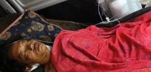 Pekerja di Sungai Apit Nyaris Tewas Diterkam Harimau, Selamat Berkat Aksi Cepat Rekan