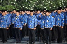 Ilustrasi Aparatur Sipil Negara. Sumber: Internet