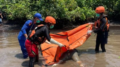 Tim SAR Temukan Dua Korban Laka Sped Boat Pembawa TKI