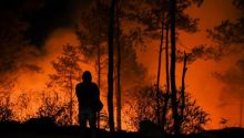 Ilustrasi kebakaran hutan dan lahan (karhutla). Sumber: detik.com