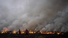 Petugas padamkan kebakaran hutan dan lahan (karhutla). Sumber: detik.com
