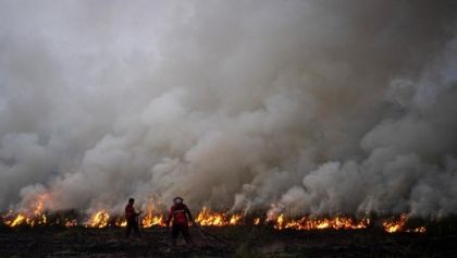 Petugas padamkan kebakaran hutan dan lahan (karhutla). Sumber: detik.com