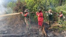 Karhutla di Dayun Capai 6 Hektare, Lebih dari 200 Personel Gabungan Berjibaku Padamkan Api
