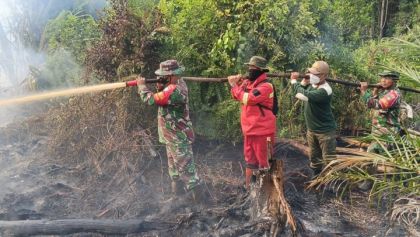 Karhutla di Dayun Capai 6 Hektare, Lebih dari 200 Personel Gabungan Berjibaku Padamkan Api
