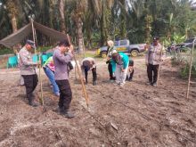 Polisi Turun ke Lahan, 4 Hektare Jagung Ditanam di Kandis untuk Perkuat Ketahanan Pangan