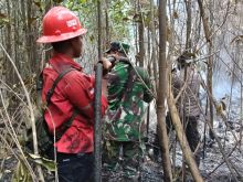 Karhutla Tasik Betung Capai 2 Hektare, Api Masih Menyala di Sejumlah Titik