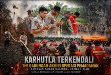 Tujuh Hari Berjibaku, Tim Gabungan Nyatakan Karhutla di Dekat TN Zamrud Terkendali