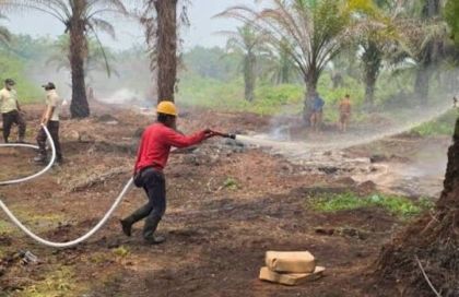 Personel Damkar PTPN IV Regional III Bantu Atasi Karhutla di Areal Masyarakat