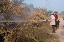 Bupati Turun Langsung dan Ikut Padamkan Api Lokasi Karhutla