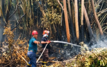 PTPN IV Regional III bantu Satgas tanggulangi Karhutla Riau di Tiga Kabupaten