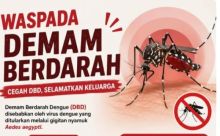 Instruksi Diskes, Puskemas Diminta Percepat Penanganan DBD
