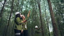 Di Balik Selembar Kertas, Ada Perjuangan Menjaga Hutan Gambut Riau