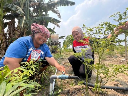 _Seorang anggota Kelompok Wanita Tani (KWT) Multi Talent Desa Perawang Barat, tengah mengalirkan air untuk menyiram tanaman menggunakan sistem irigasi tetes (drip irrigation) yang didukung oleh PT Pertamina Hulu Rokan._