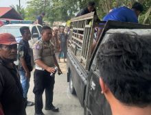 Penumpang Sepeda Motor Meninggal Ditempat Setelah di Tabrak Mobil Pick Up
