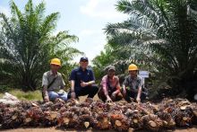 PTPN IV PalmCo: Kepercayaan Kunci Kemitraan Sawit Berkelanjutan