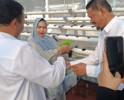 Beraneka Sayuran Bisa Ditanam, Bupati Kasmarni Ajak Warga Manfaatkan Perkarangan Rumah