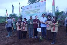 DPRD Siak Dukung Gerakan Penanaman Sejuta Pohon, Perkuat Sinergi Menuju Indonesia ASRI