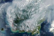 Potret Asal di Kalimantan lewat Pantauan NASA. (X/Foto)