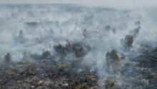 Kebakaran Hutan dan Lahan. (Foto: Walhi)