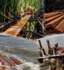 Puluhan Ton Kubik Kayu dari Perairan Pulau Dedap-Bengkalis Ditangkap Ditpolair Polda Riau
