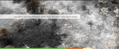 Potret Karhutla di Provinsi Jambi. (Dok. Walhi)